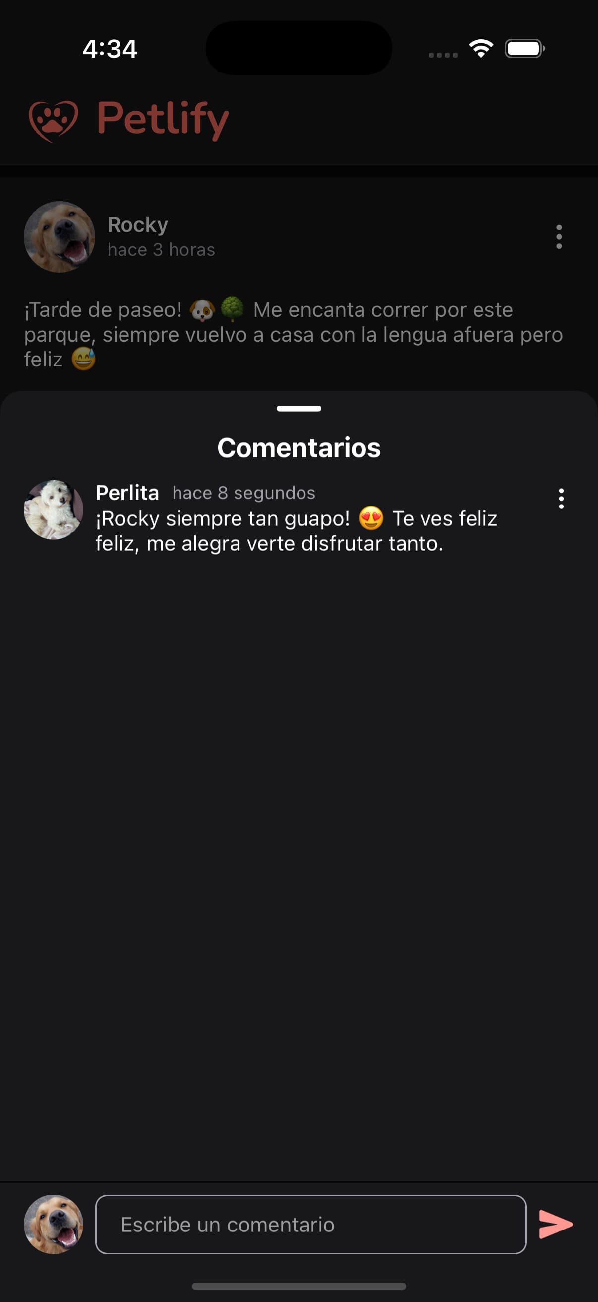 Comentarios de Petlify