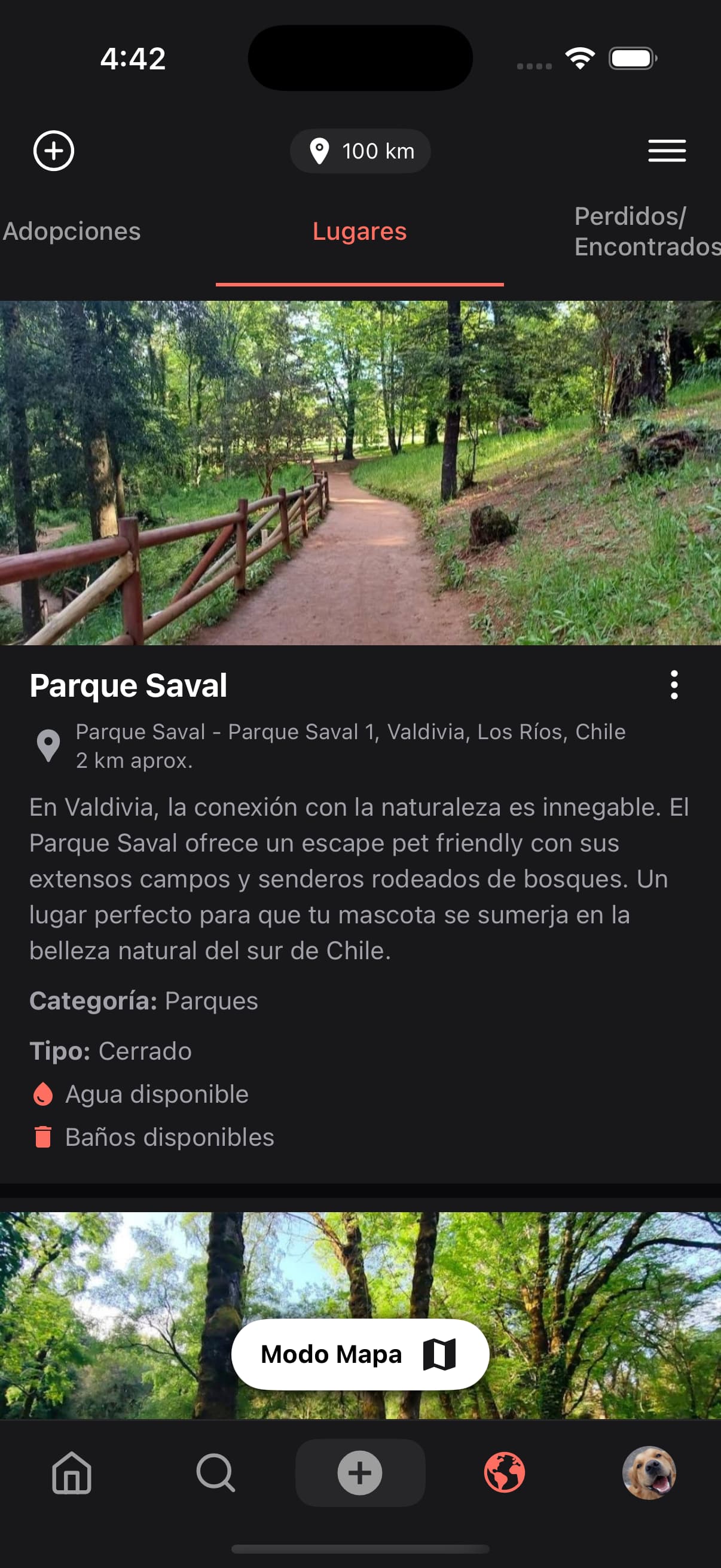 Lugares pet-friendly