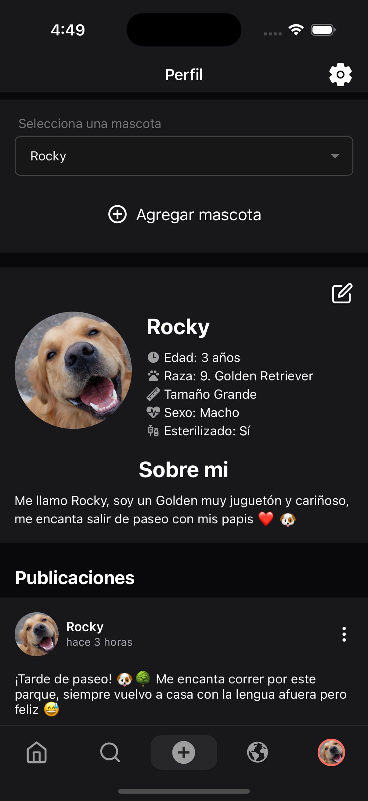 Perfil de mascota